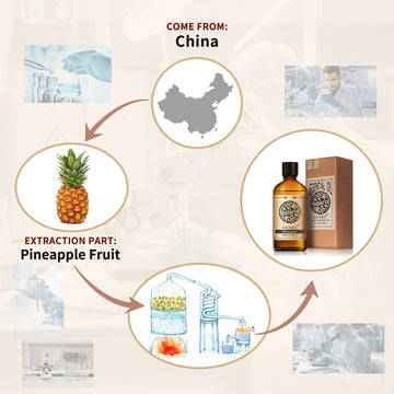 Pineapple Essential Oil AKARZ Natural And Pure (30ML,100ML )